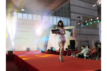 2013 Dongguan Taiwan Famous Product Fair 