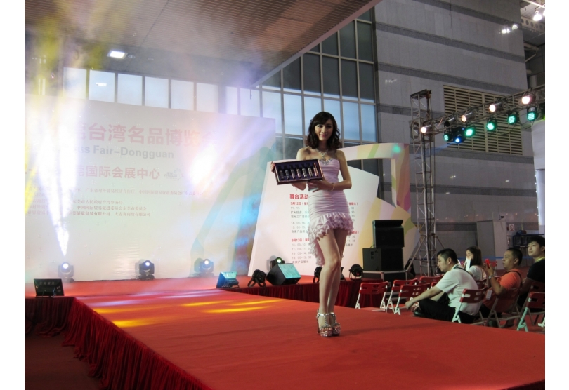 2013 Dongguan Taiwan Famous Product Fair 