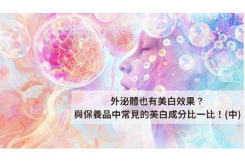 外泌體也有美白效果？與保養品中常見的美白成分比一比！(中)